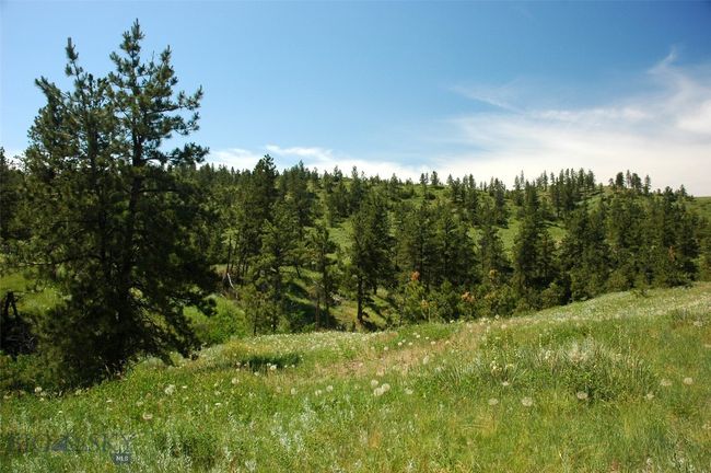 SC-25 - TBD Lone Rock Canyon Lane, Home with 0 bedrooms, 0 bathrooms and null parking in Hysham MT | Image 48