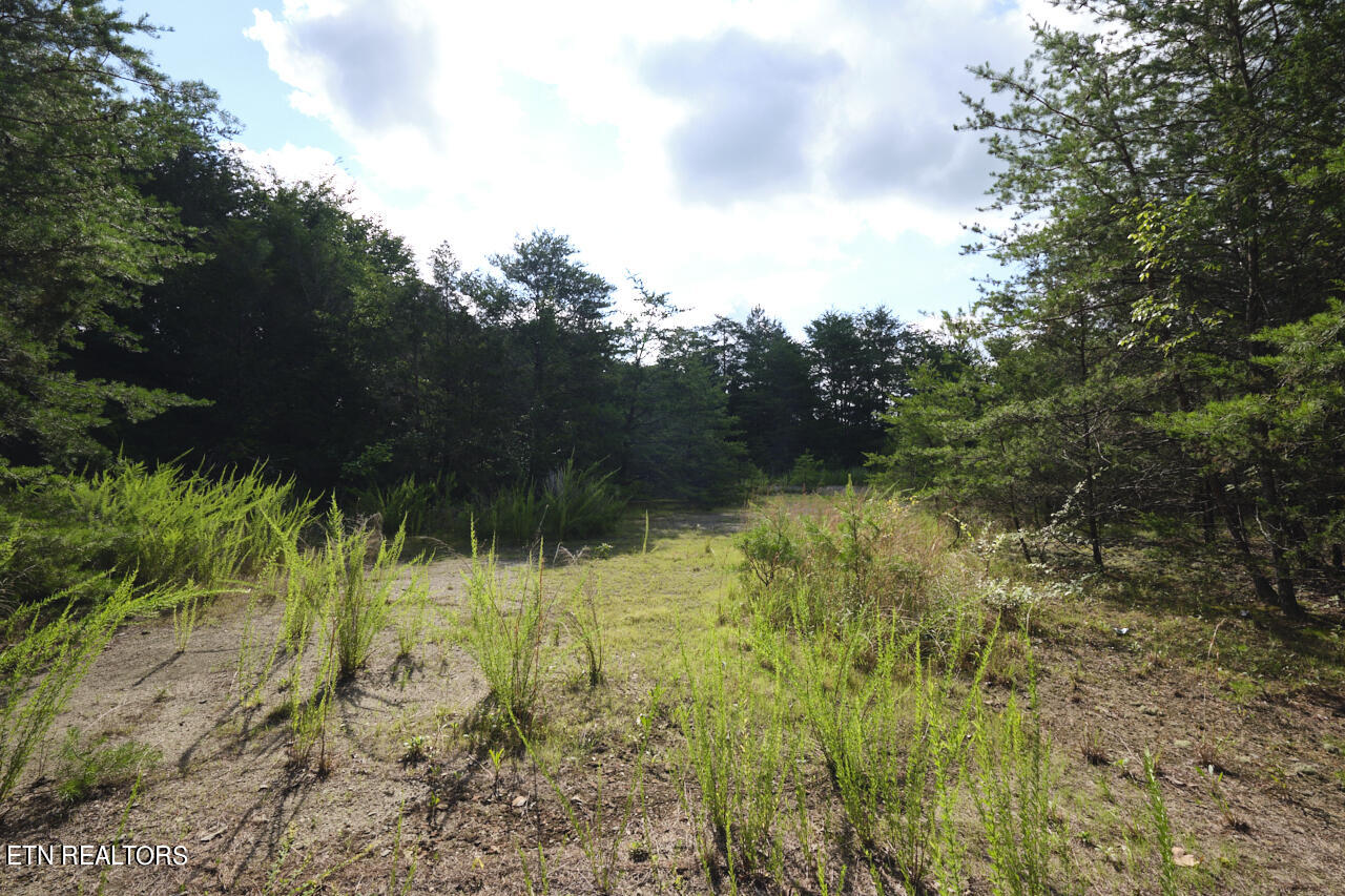 Land in Blaine 3