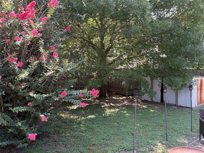 View of yard | Image 15