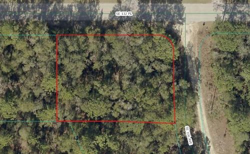 00 Se 132nd Pl, Ocklawaha, FL, 32179 | Card Image
