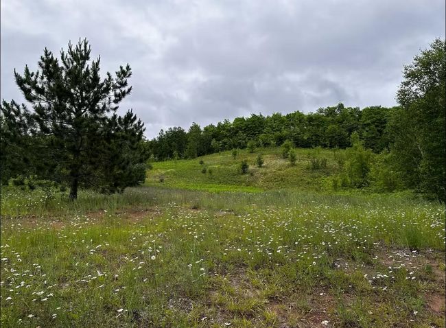 13906 Himanka Hill Rd, House other with 1 bedrooms, 1 bathrooms and null parking in Bruce Crossing MI | Image 36