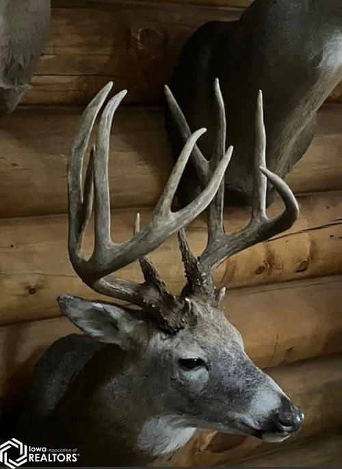 TBD Gray Ave, Cantril, IA, 52542 | Card Image