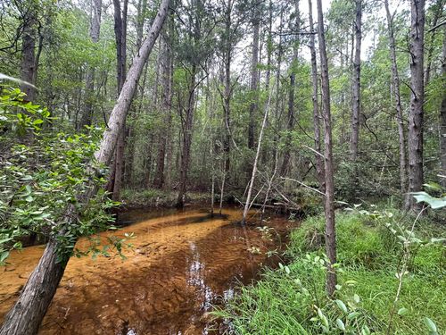 5 Keyser Mill Rd, Baker, FL, 32531 | Card Image