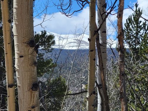 667 Ponderosa Rd, ALMA, CO, 80420 | Card Image
