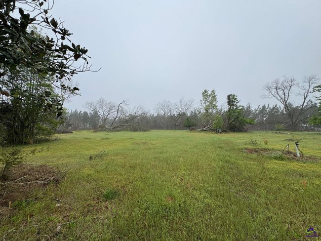 0 Smyrna Road, Home with 0 bedrooms, 0 bathrooms and null parking in Uvalda GA | Image 11