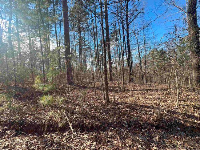 1011 Polk Road 38, House other with 2 bedrooms, 2 bathrooms and null parking in Hatfield AR | Image 8