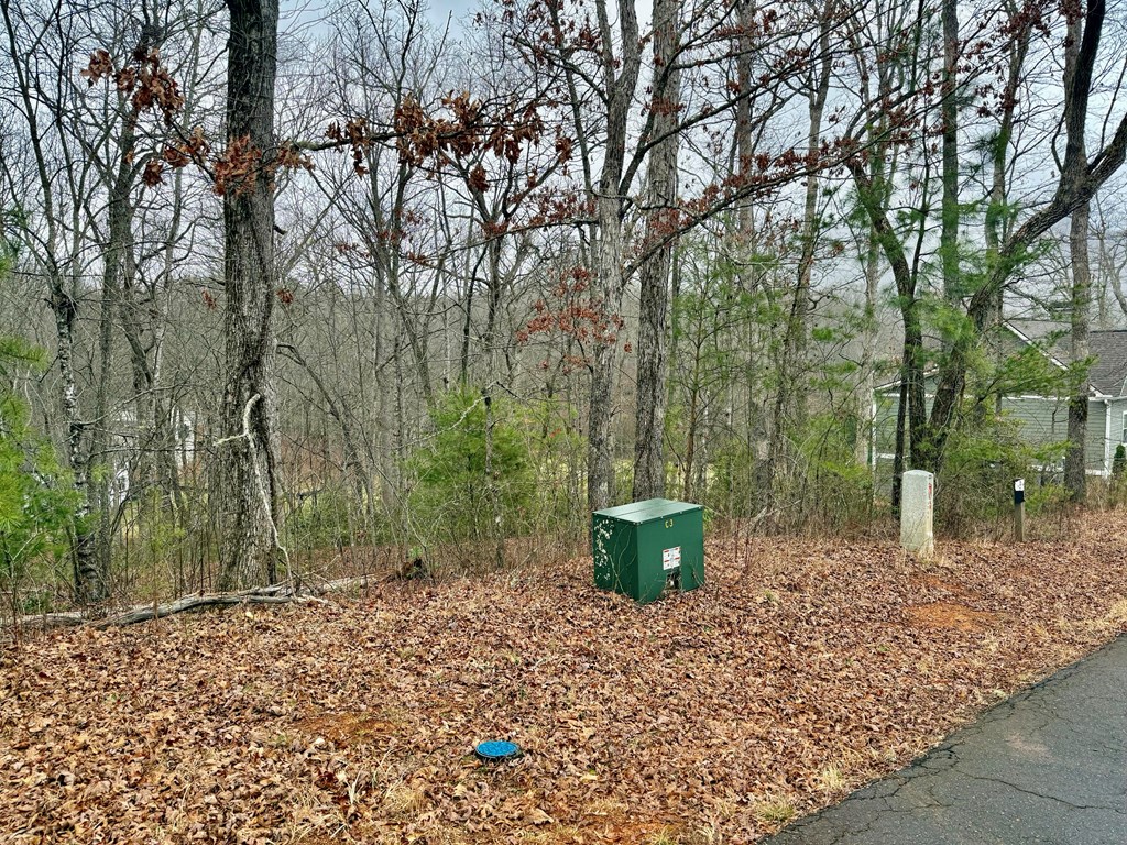 Land in Franklin 5