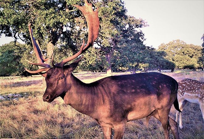 51 Deadend Rd, Home with 0 bedrooms, 0 bathrooms and null parking in Mountain Home TX | Image 8