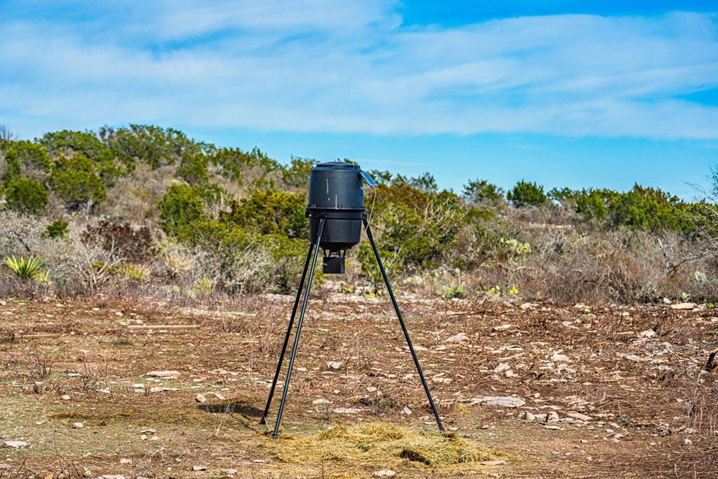 Land in Uvalde 4