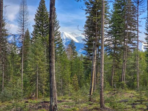 TBD Providence Ln, Condon, MT, 59826 | Card Image