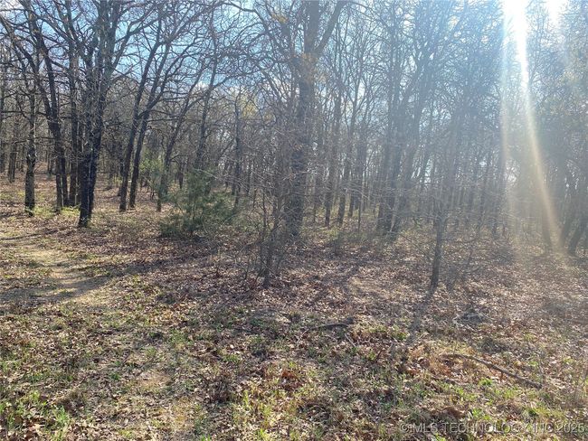 2 State Highway 76, Home with 0 bedrooms, 0 bathrooms and null parking in Wilson OK | Image 23