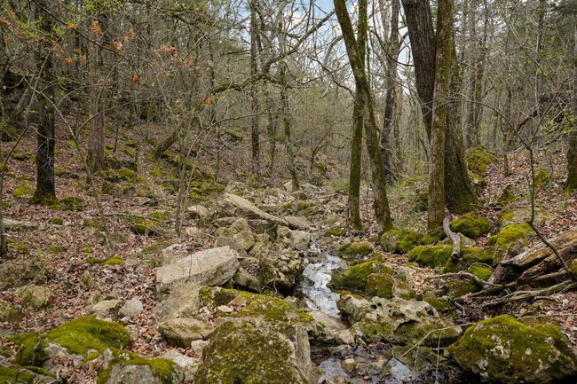 Fossil Cove Rd-62 | Image 61