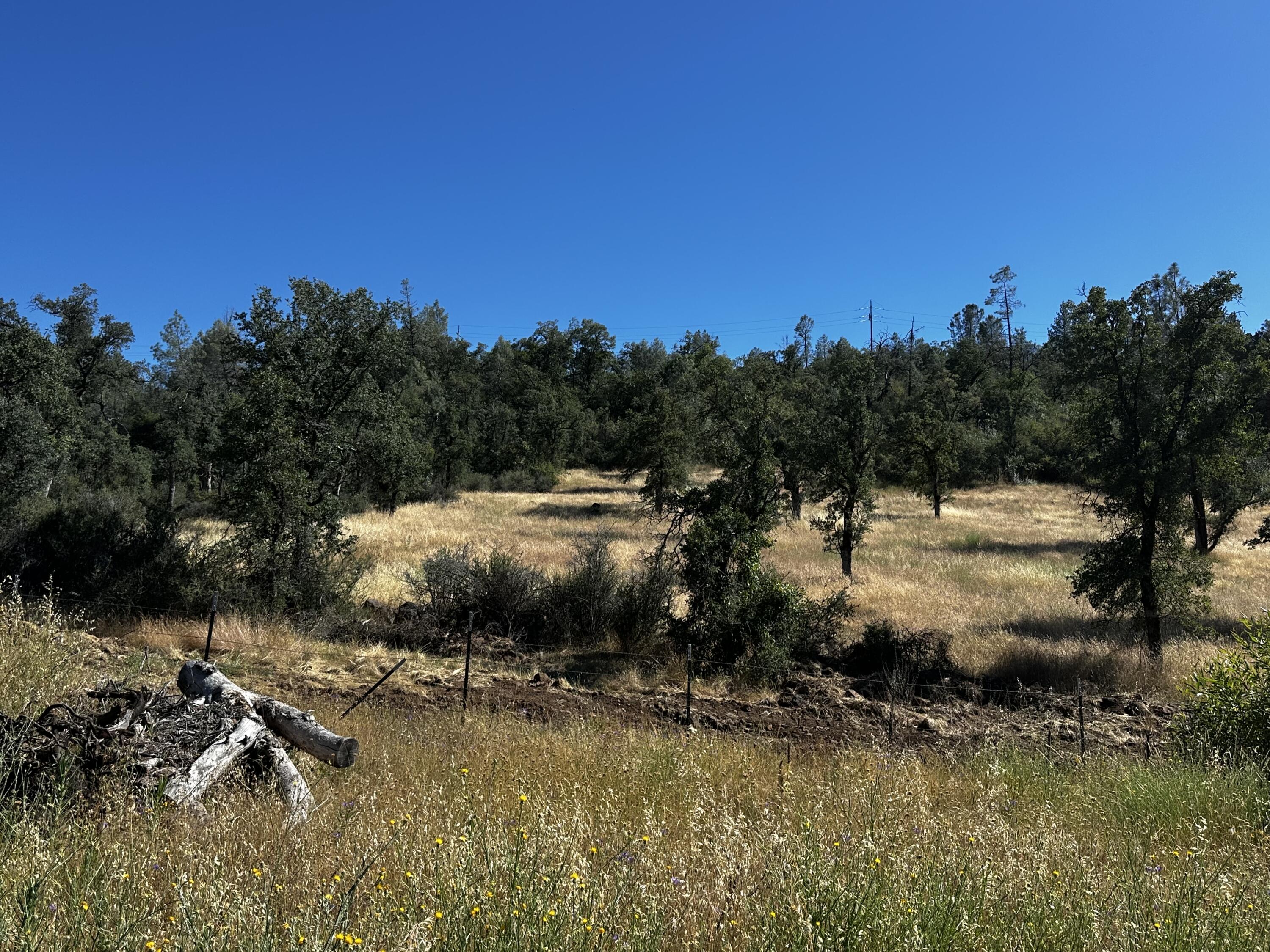 Land in Shingletown 2
