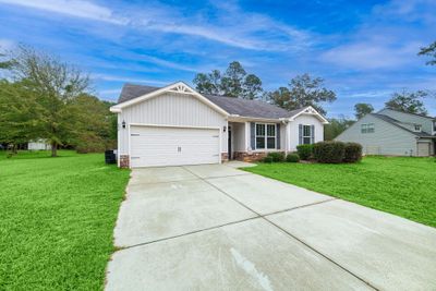 259 Lacebark | Image 1