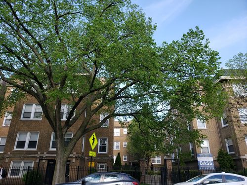 h3-4835 N Kimball Avenue, Chicago, IL, 60625 | Card Image