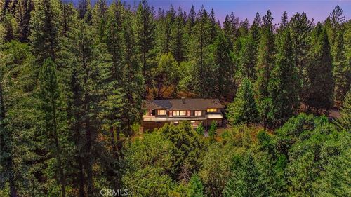 16200 Pinewood Dr, Pioneer, CA, 95666-9666 | Card Image