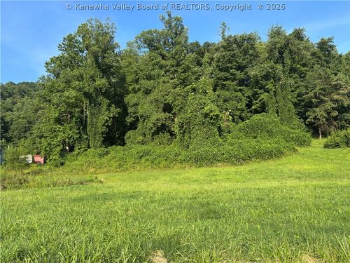 32 Wintergreen Ln, Chapmanville, WV, 25508 | Card Image