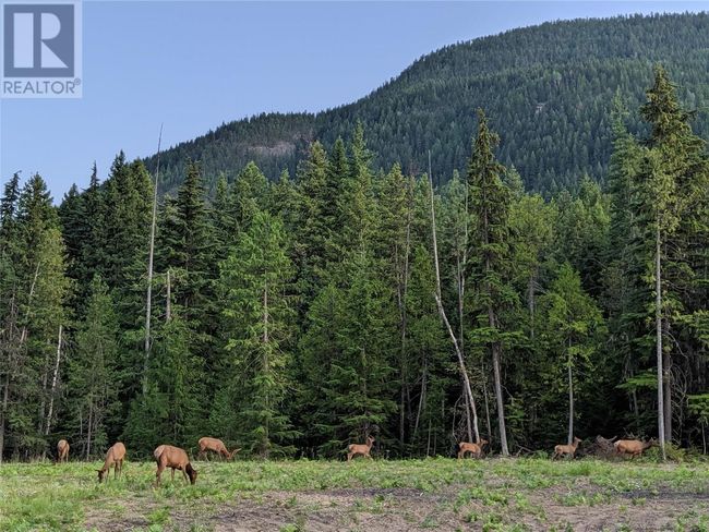 3809 Passmore Upper Rd, Home with 0 bedrooms, 0 bathrooms and null parking in Passmore BC | Image 12