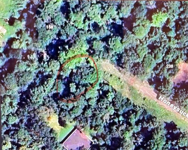 000 Honeysuckle, Home with 0 bedrooms, 0 bathrooms and null parking in Livingston TX | Image 4