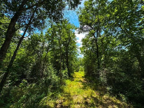 4888 Baldwin Drive, Hungerford, TX, 77448 | Card Image