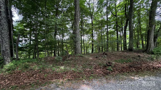 530 El Miner Dr, Home with 0 bedrooms, 0 bathrooms and null parking in Mars Hill NC | Image 4