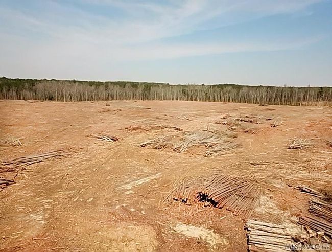 32.49 Ac Chalk Level Rd, Home with 0 bedrooms, 0 bathrooms and null parking in Alberta VA | Image 24