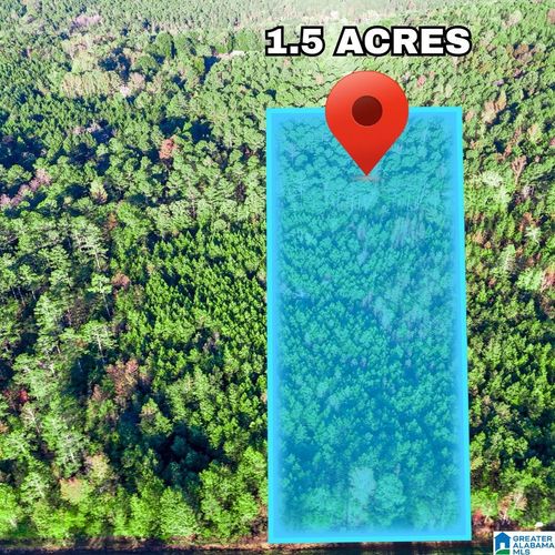 tract-3a-Tract 3A County Road 329, Wedowee, AL, 36278 | Card Image