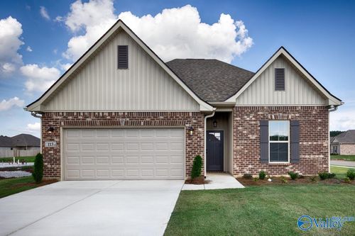 113 Junebug Dr, Madison, AL, 35756-5420 | Card Image