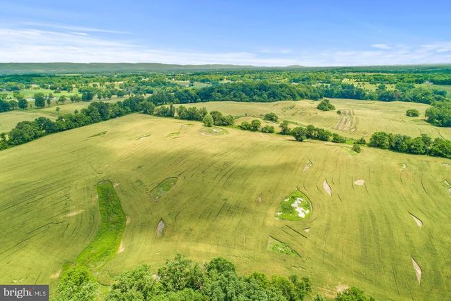 8160 Frogtown Rd, Home with 0 bedrooms, 0 bathrooms and null parking in MARSHALL VA | Image 29