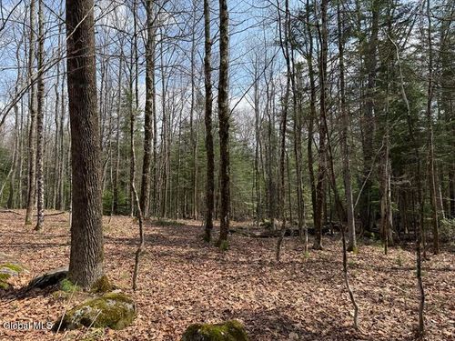 3-L34.3 Old Schroon Rd, Schroon Lake, NY, 12870-2113 | Card Image