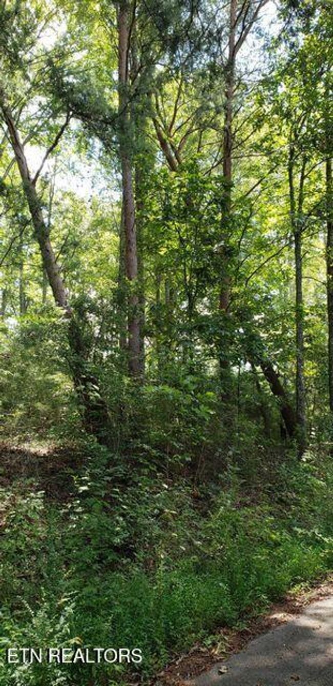 4 Treeline Dr, Home with 0 bedrooms, 0 bathrooms and null parking in Dunlap TN | Image 7