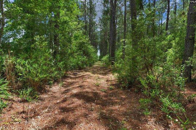 0000 N Brewington Rd, Home with 0 bedrooms, 0 bathrooms and null parking in Manning SC | Image 52