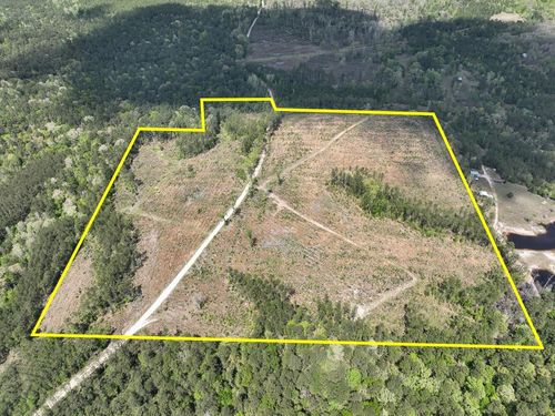 000 County Road 2834, Colmesneil, TX, 75938 | Card Image