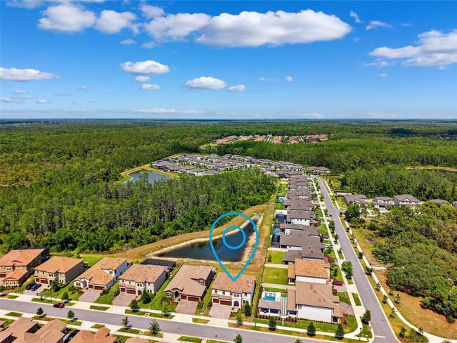 4275 Burdick Loop, House other with 5 bedrooms, 4 bathrooms and null parking in ODESSA FL | Image 65