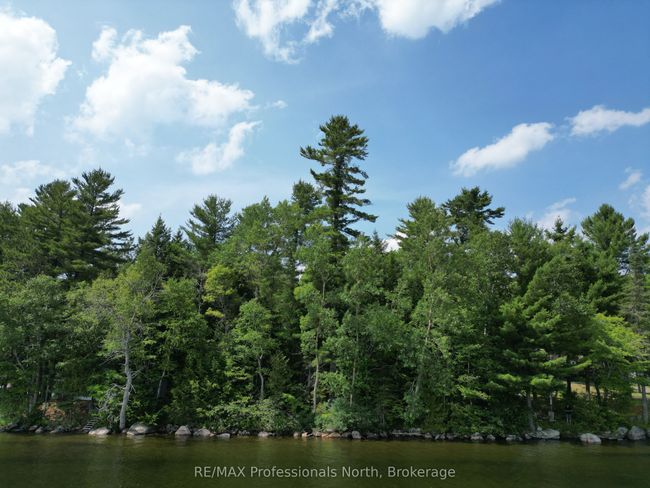 0 Halls Lake Rd, Home with 0 bedrooms, 0 bathrooms and null parking in Algonquin Highlands ON | Image 6