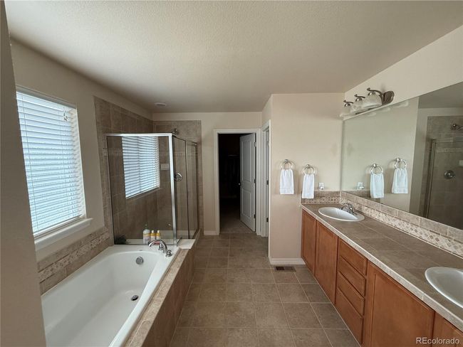 7407 Pimlico Dr, House other with 4 bedrooms, 3 bathrooms and null parking in Windsor CO | Image 21