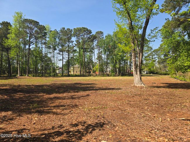 1254 Shenandoah St, Home with 0 bedrooms, 0 bathrooms and null parking in Wilmington NC | Image 11