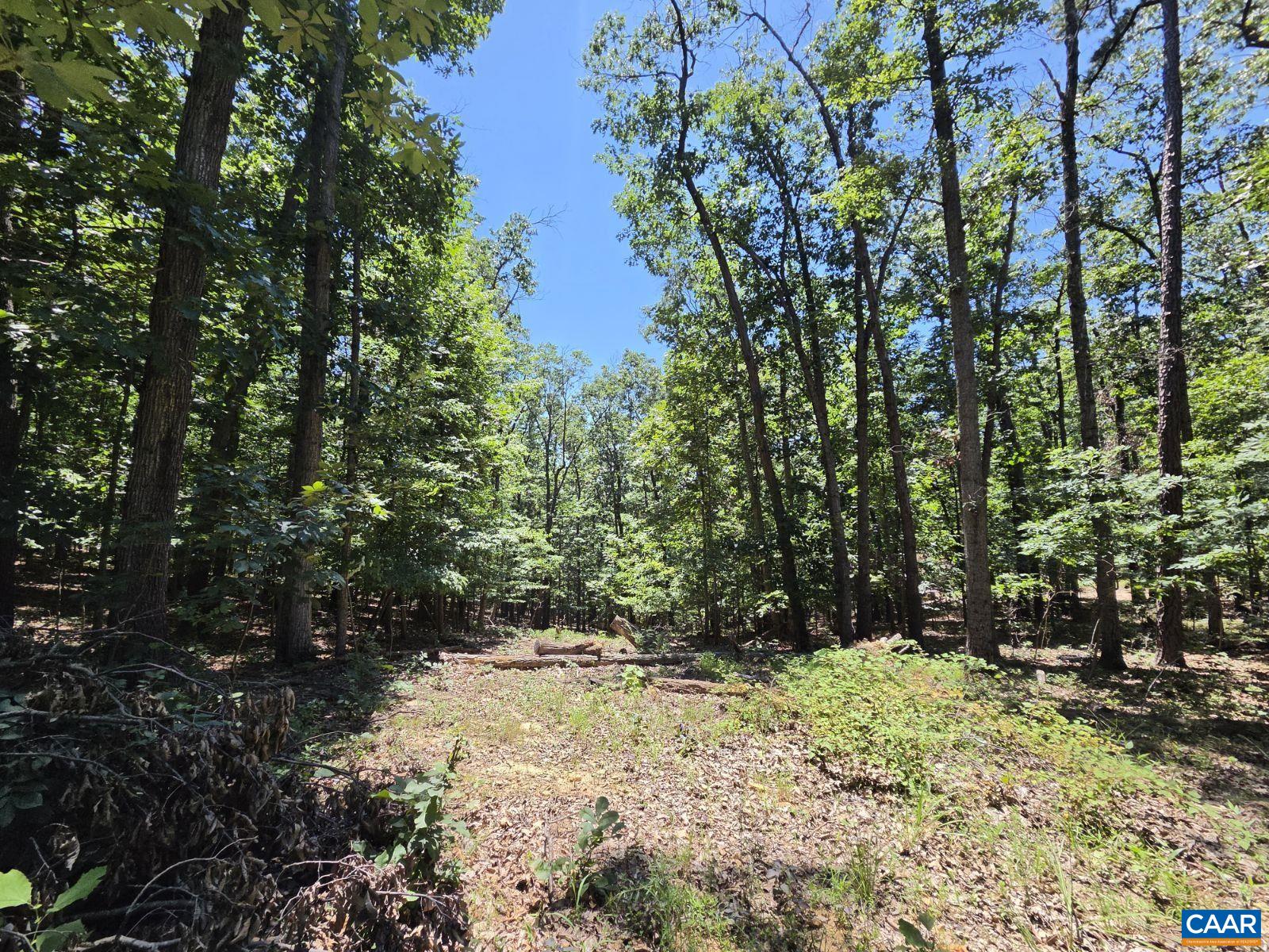 Land in Shenandoah