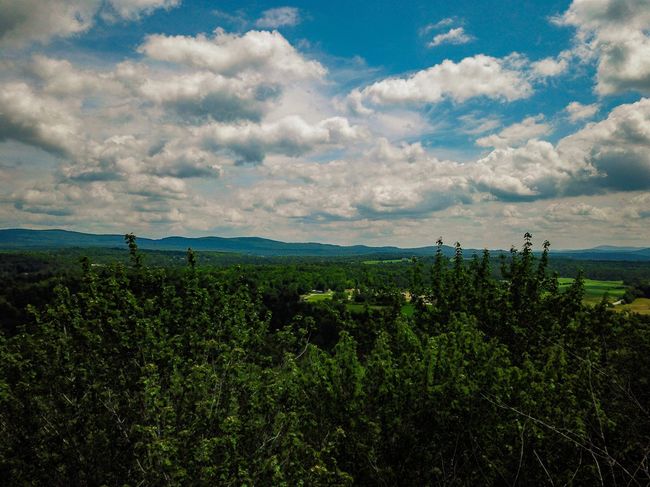 1730 Sinclair Rd, Home with 0 bedrooms, 0 bathrooms and null parking in Johnson VT | Image 5