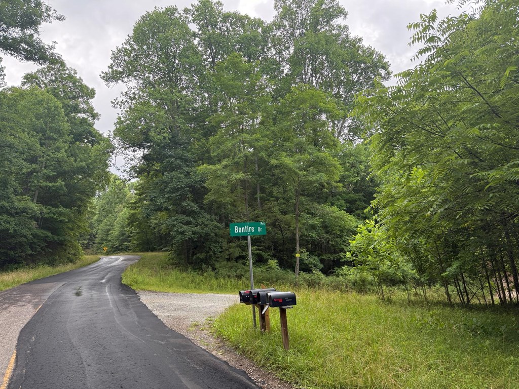 Land in Franklin 2