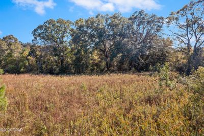 Lot 3 Creek Road, Home with 0 bedrooms, 0 bathrooms and null parking in Bonifay FL | Image 2