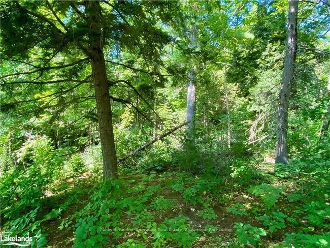 0 Concession 10 And 11 Road, Home with 0 bedrooms, 0 bathrooms and null parking in Parry Sound, Unorganized, Centre Part ON | Image 9