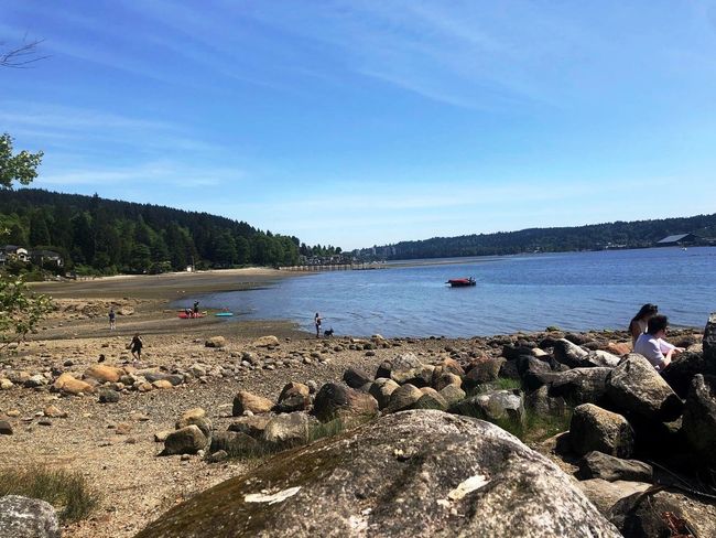 Water view with a heavily wooded area | Image 39