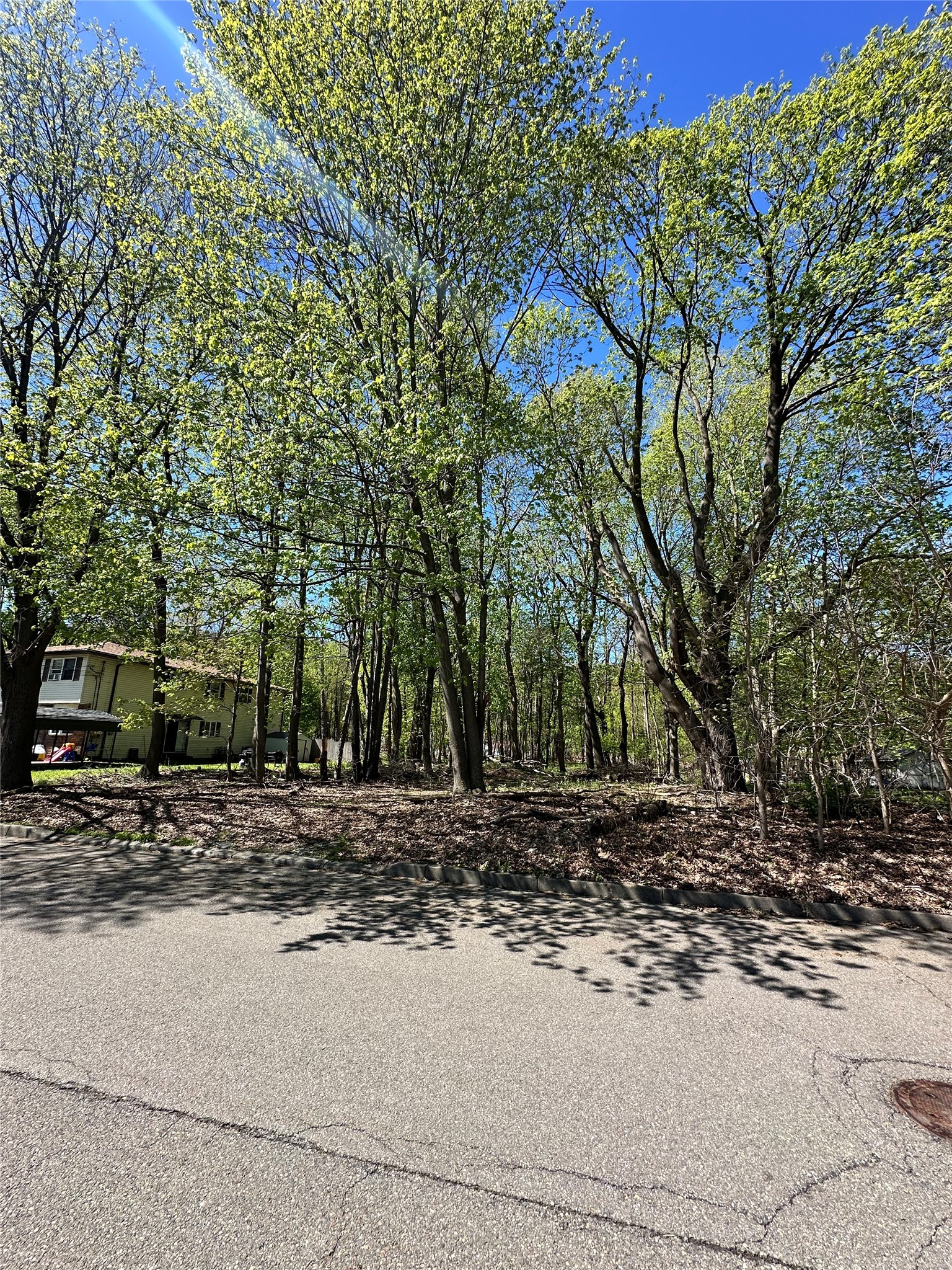 Land in Binghamton