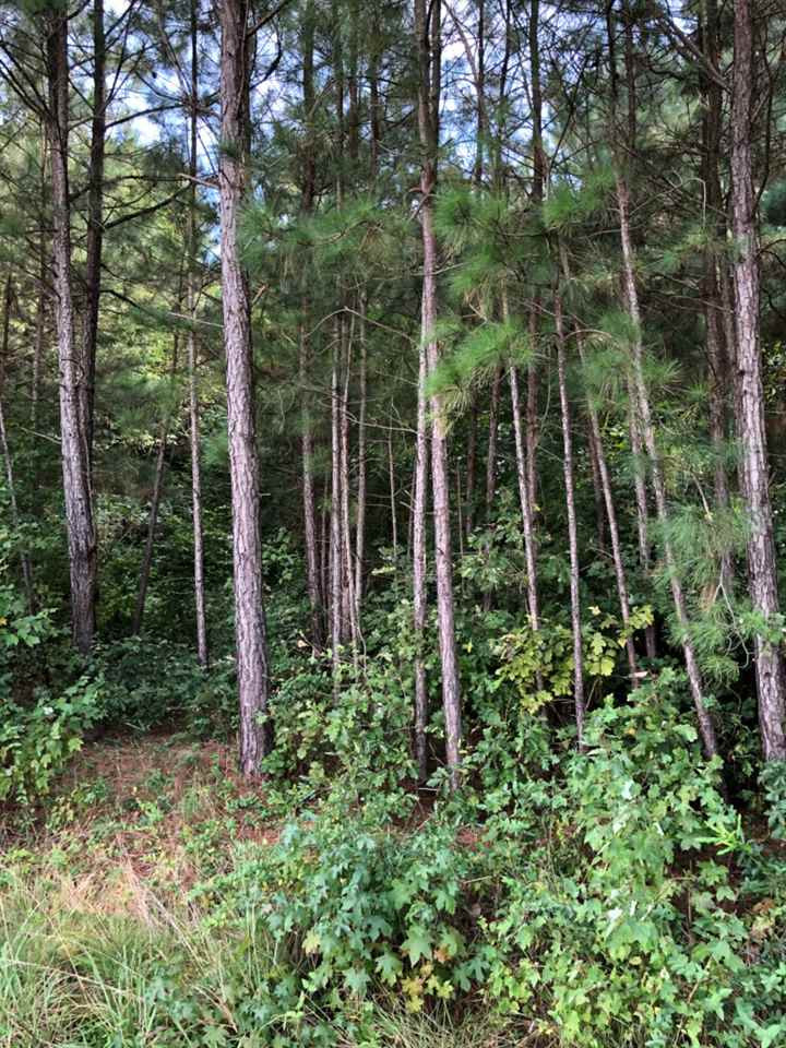 15954 Us 421 Highway S, Sold in Sanford Zoocasa