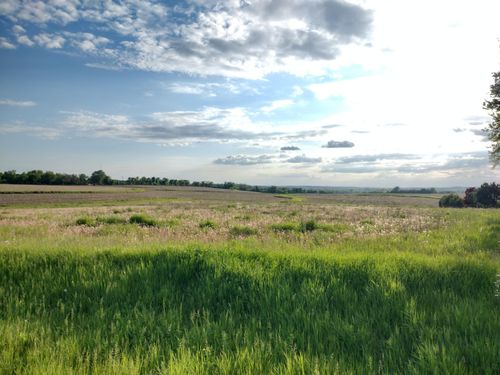 2 County Rd E, Ripon, WI, 54971 | Card Image