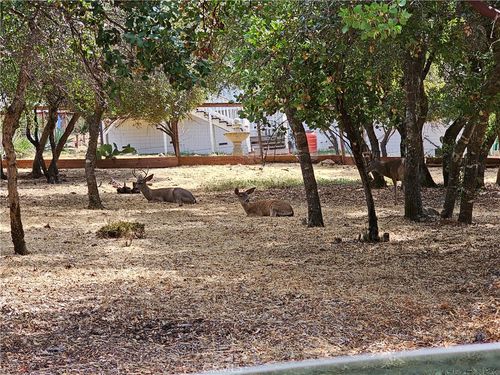 9717 Mount Hood Way, Kelseyville, CA, 95451-9530 | Card Image