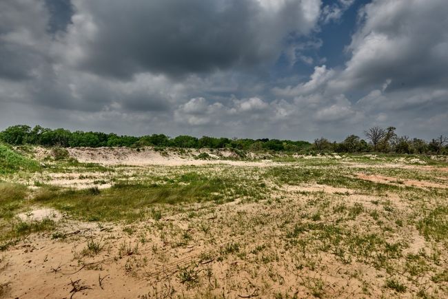 View of nature | Image 21