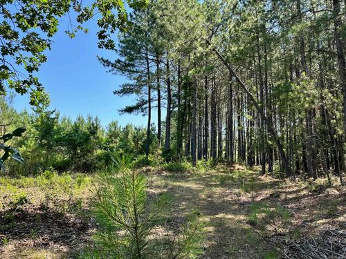 00 Caglesville Ln, Russellville, AR, 72802 | Card Image