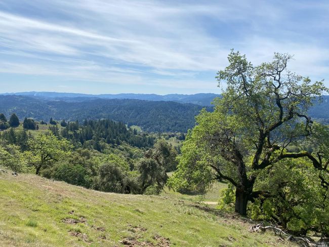 19010 Hulbert Rd, Home with 0 bedrooms, 0 bathrooms and null parking in Yorkville CA | Image 20